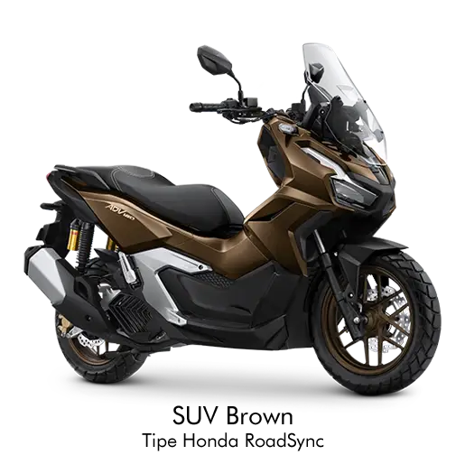 ADV ROADSYNC - BROWN