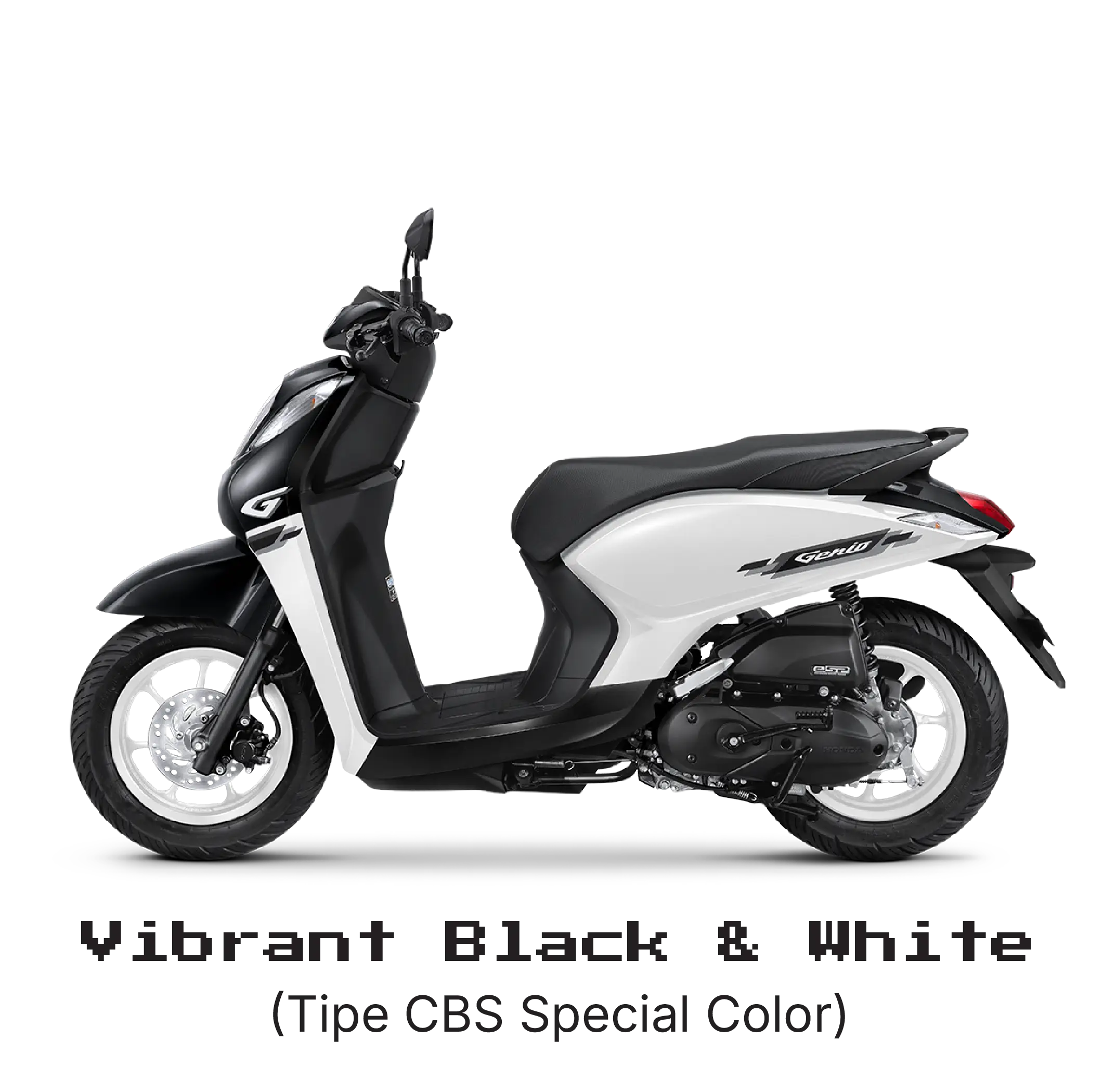 GENIO CBS BLACK WHITE
